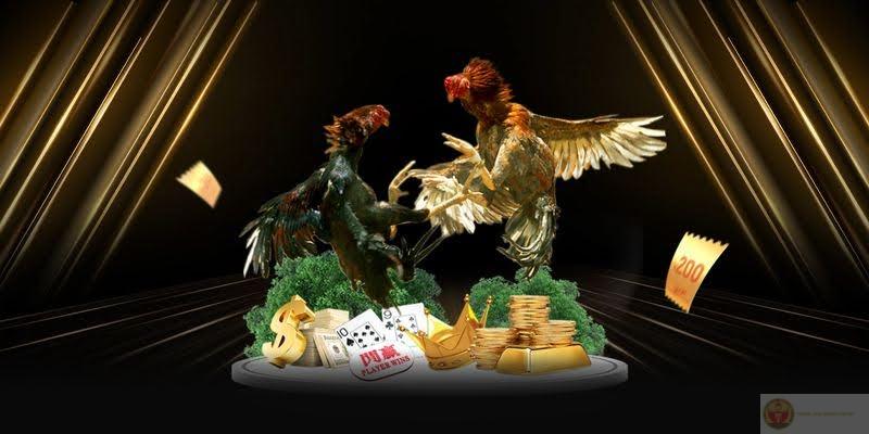 Điểm Nổi Bật Của Đá Gà Good88
