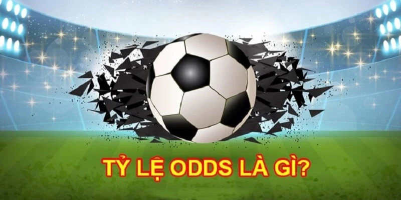 Odds Là Gì?
